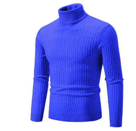 Pull Col Roulé Homme Hiver Décontracté