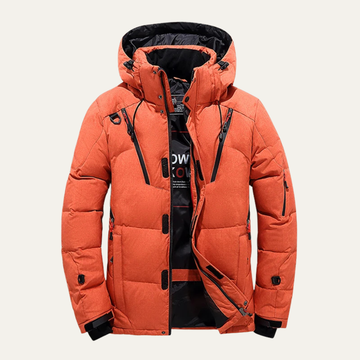 Doudoune à capuche pour homme avec poches zippées