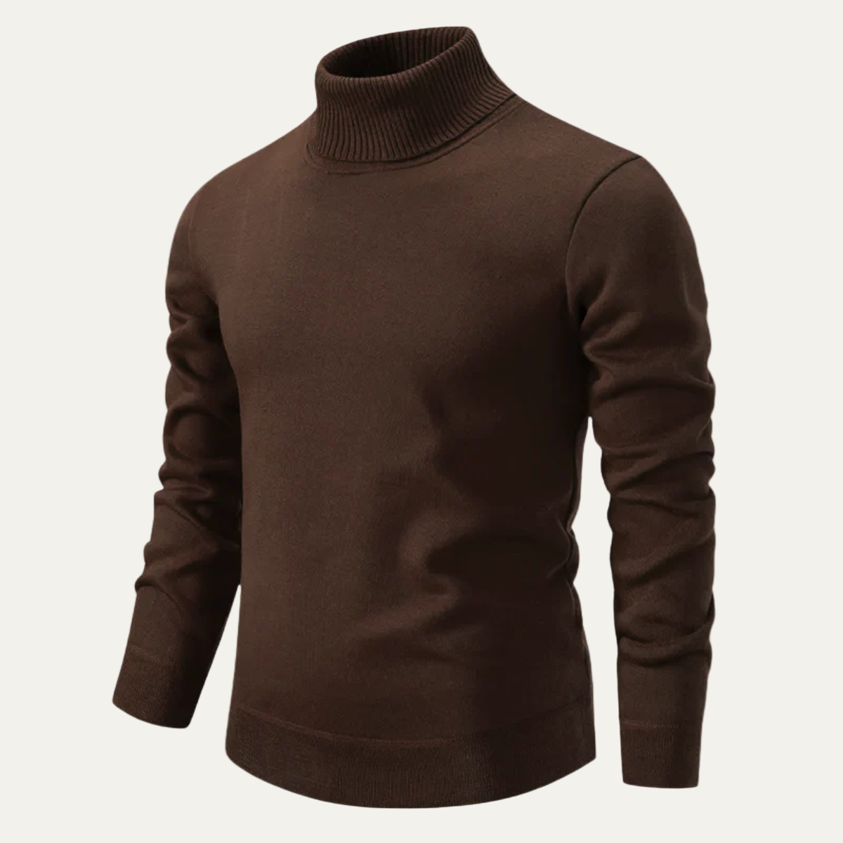 Pull à col roulé en maille ajustée pour homme