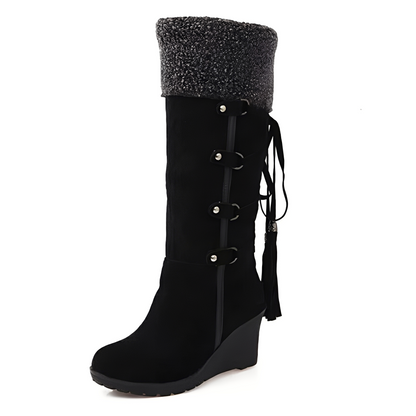 Bottes Hauts Talons Doublées Chaudes Féminines Hiver