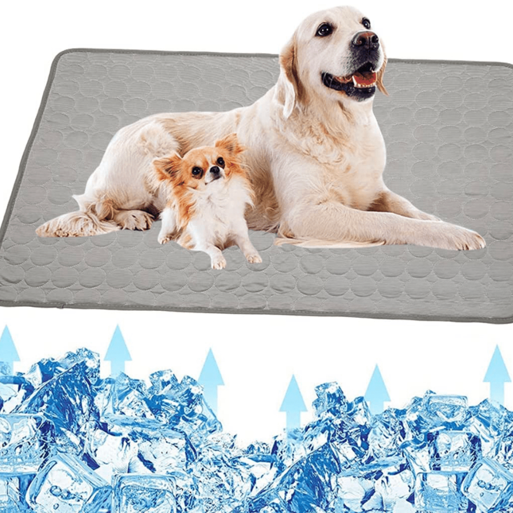 Tapis Régulateur de Température pour Animaux de Compagnie