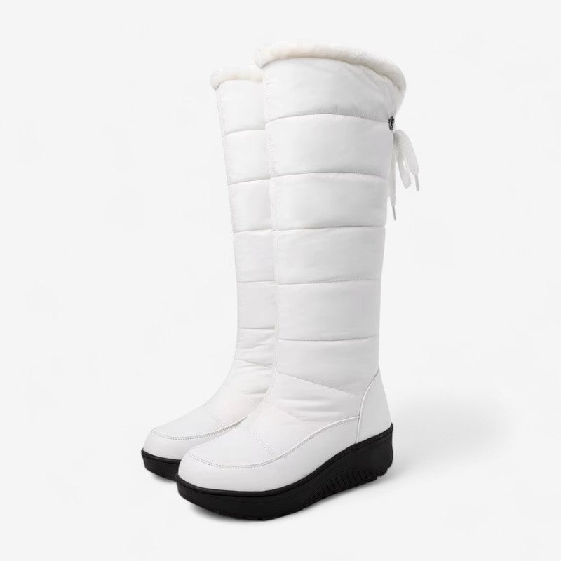 Bottes Hauts Talons Fourrure Douce - LuxeStyle