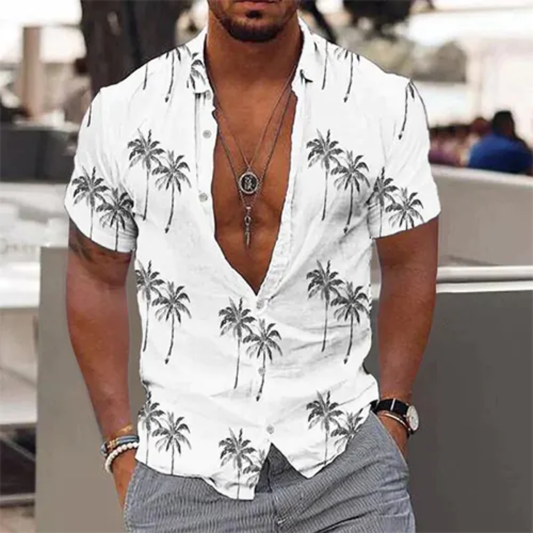 Chemise Homme Été Légère À Manches Courtes