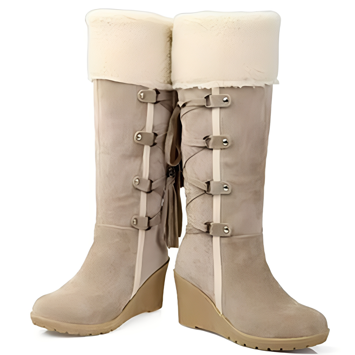 Bottes Hauts Talons Doublées Chaudes Féminines Hiver