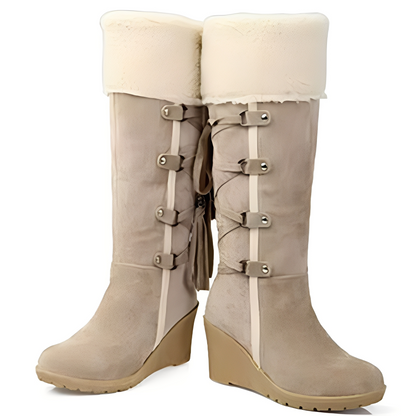 Bottes Hauts Talons Doublées Chaudes Féminines Hiver