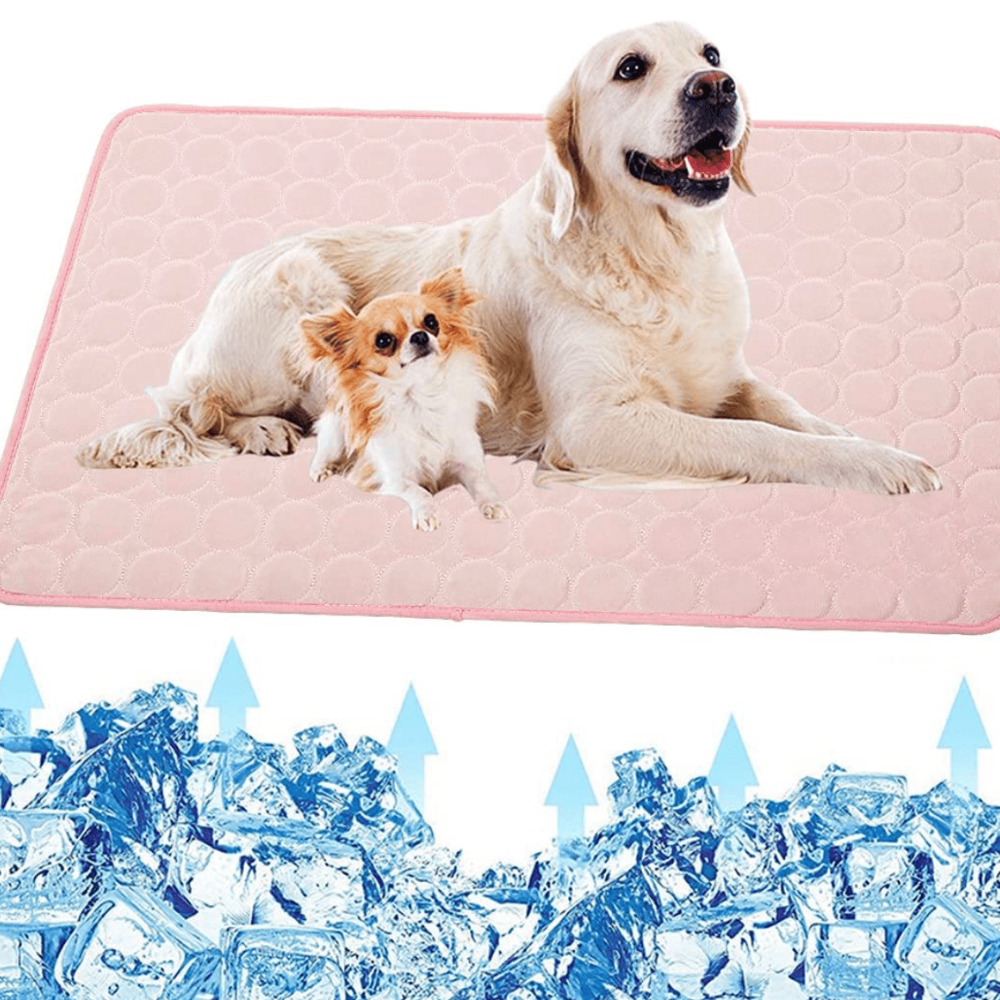 Tapis Régulateur de Température pour Animaux de Compagnie