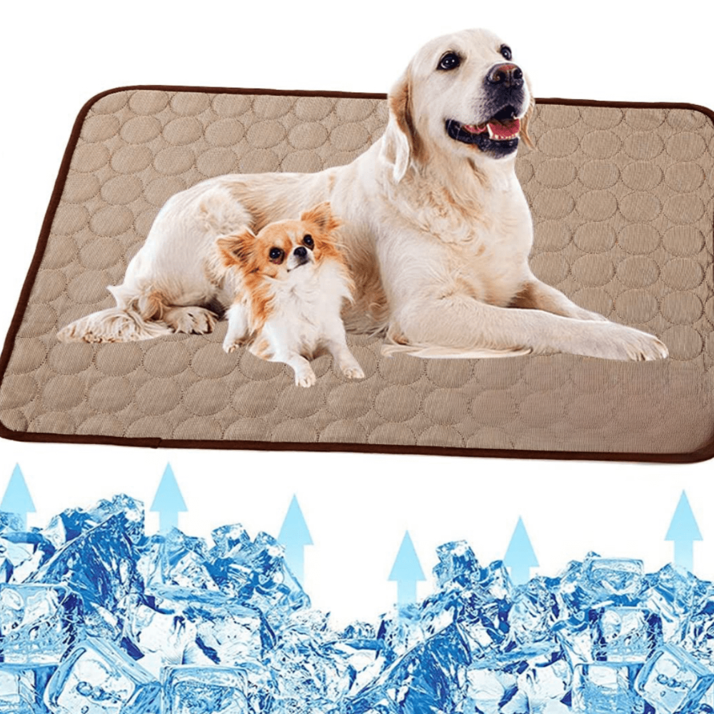 Tapis Régulateur de Température pour Animaux de Compagnie