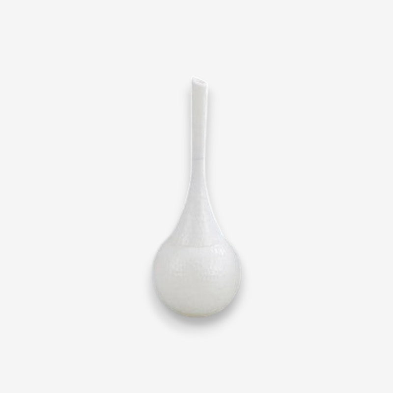Brosse WC Longue Manche Réglable avec Porte