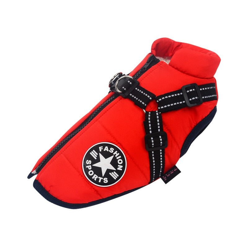 Veste de pluie canine bleue avec harnais inclus