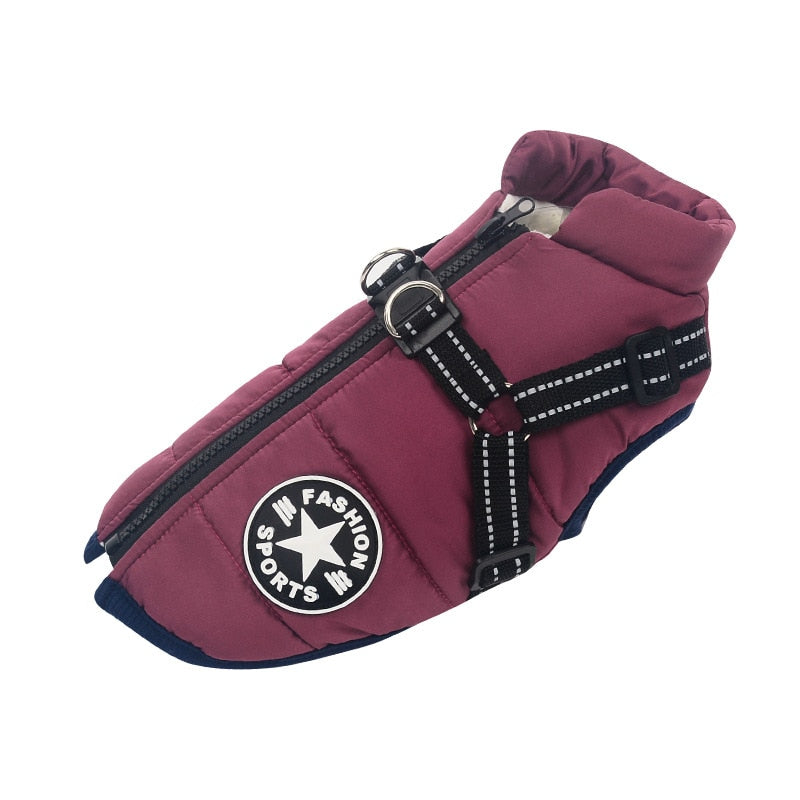 Veste de pluie pour chien avec harnais, pourpre