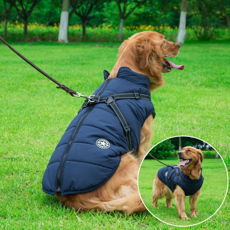 Veste de pluie canine bleue avec harnais inclus - LuxeStyle