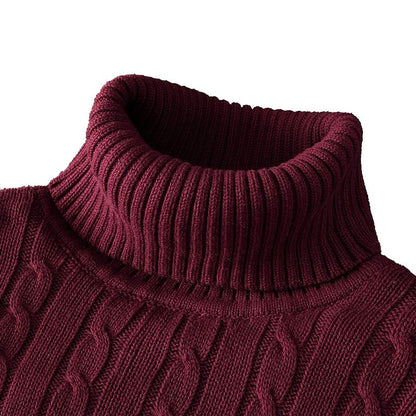 Pull Homme Hiver Col Roulé Chaud