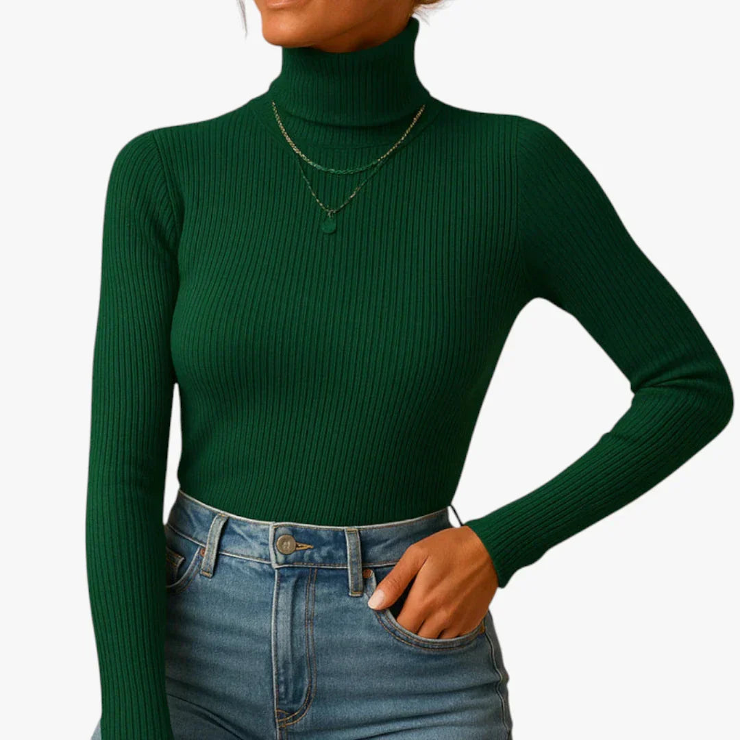 Pull col roulé élégant femme gris foncé