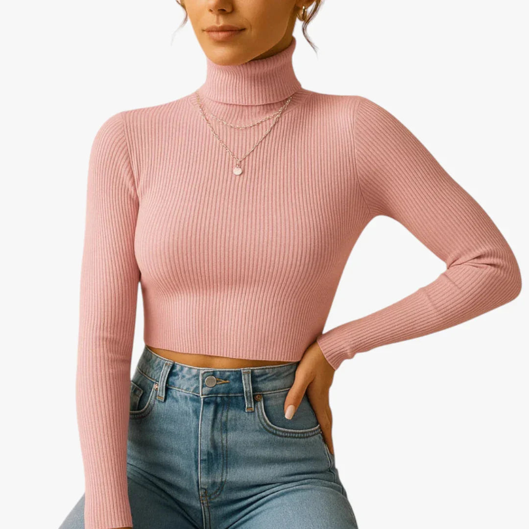 Pull col roulé élégant femme gris foncé