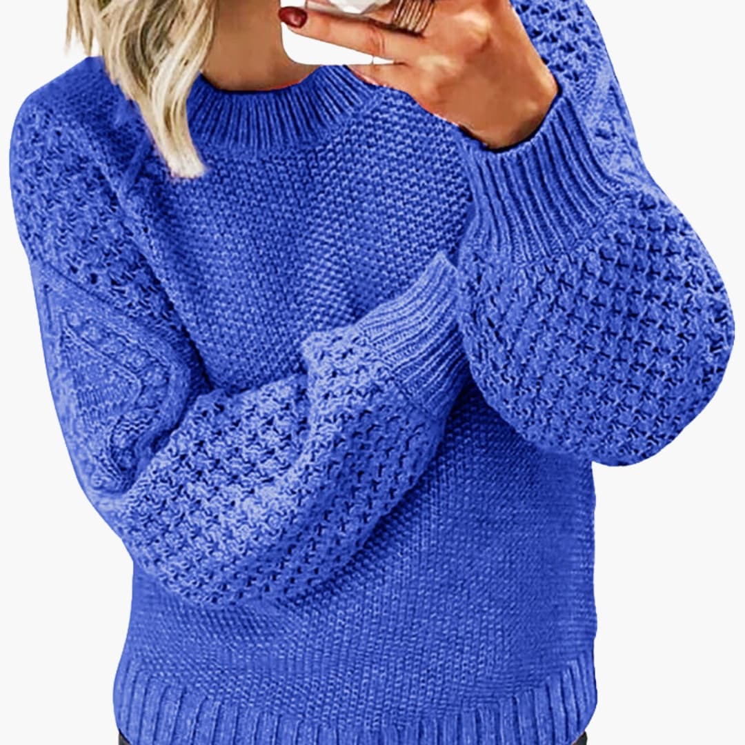Pull femme élégant à manches brodées