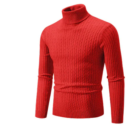 Pull Col Roulé Homme Hiver Décontracté