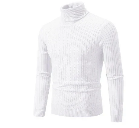 Pull Col Roulé Homme Hiver Décontracté
