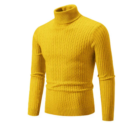 Pull Col Roulé Homme Hiver Décontracté