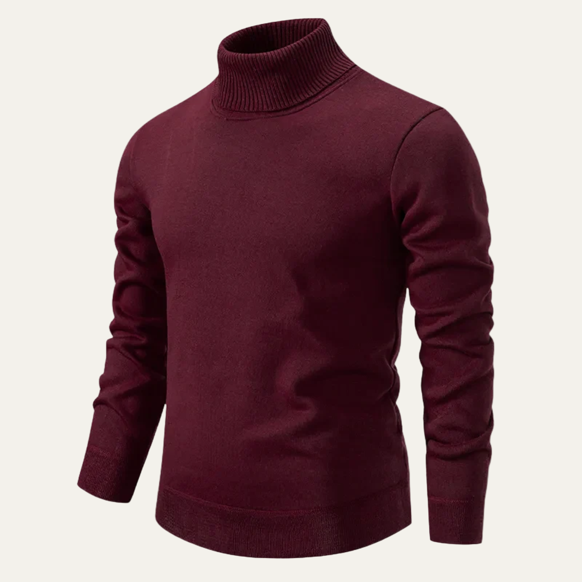 Pull à col roulé en maille ajustée pour homme