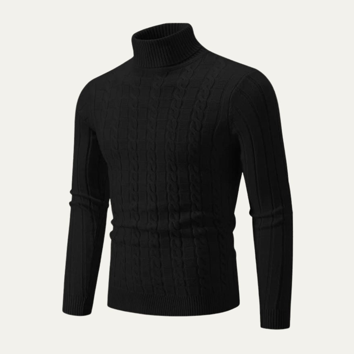 Pull col roulé ajusté en maille torsadée pour homme