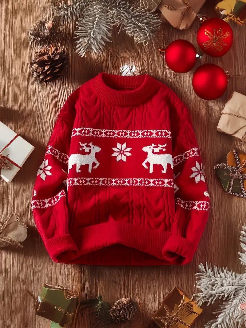 Pull de Noël en maille torsadée pour homme