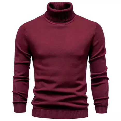 Pull Homme Col Roulé Élégant Chaud