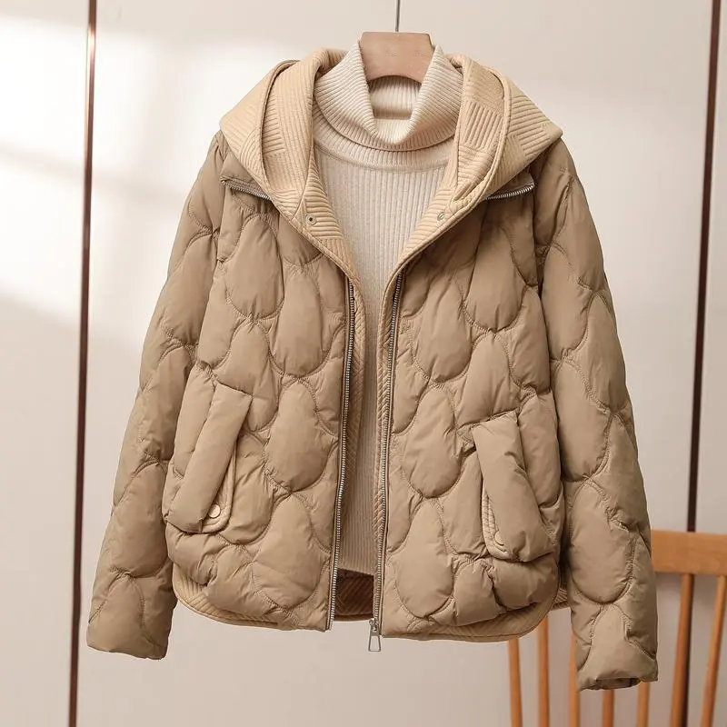 Veste hivernale épaisse avec capuche et poches latérales - BlxckFR