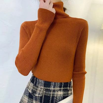 Pull à col roulé marine femme élégant