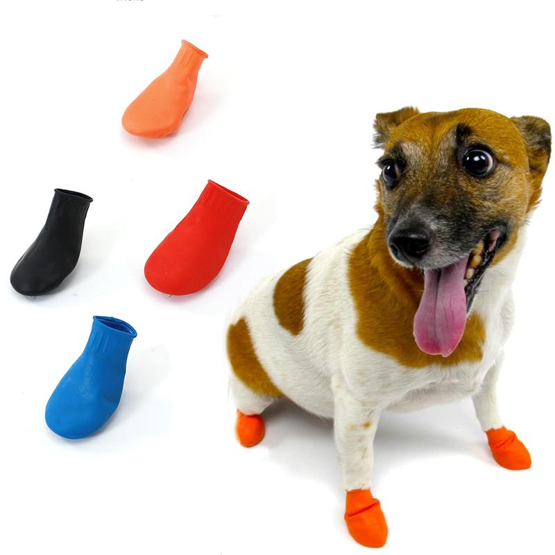 Chaussettes Canine antidérapantes Colorées - LuxeStyle